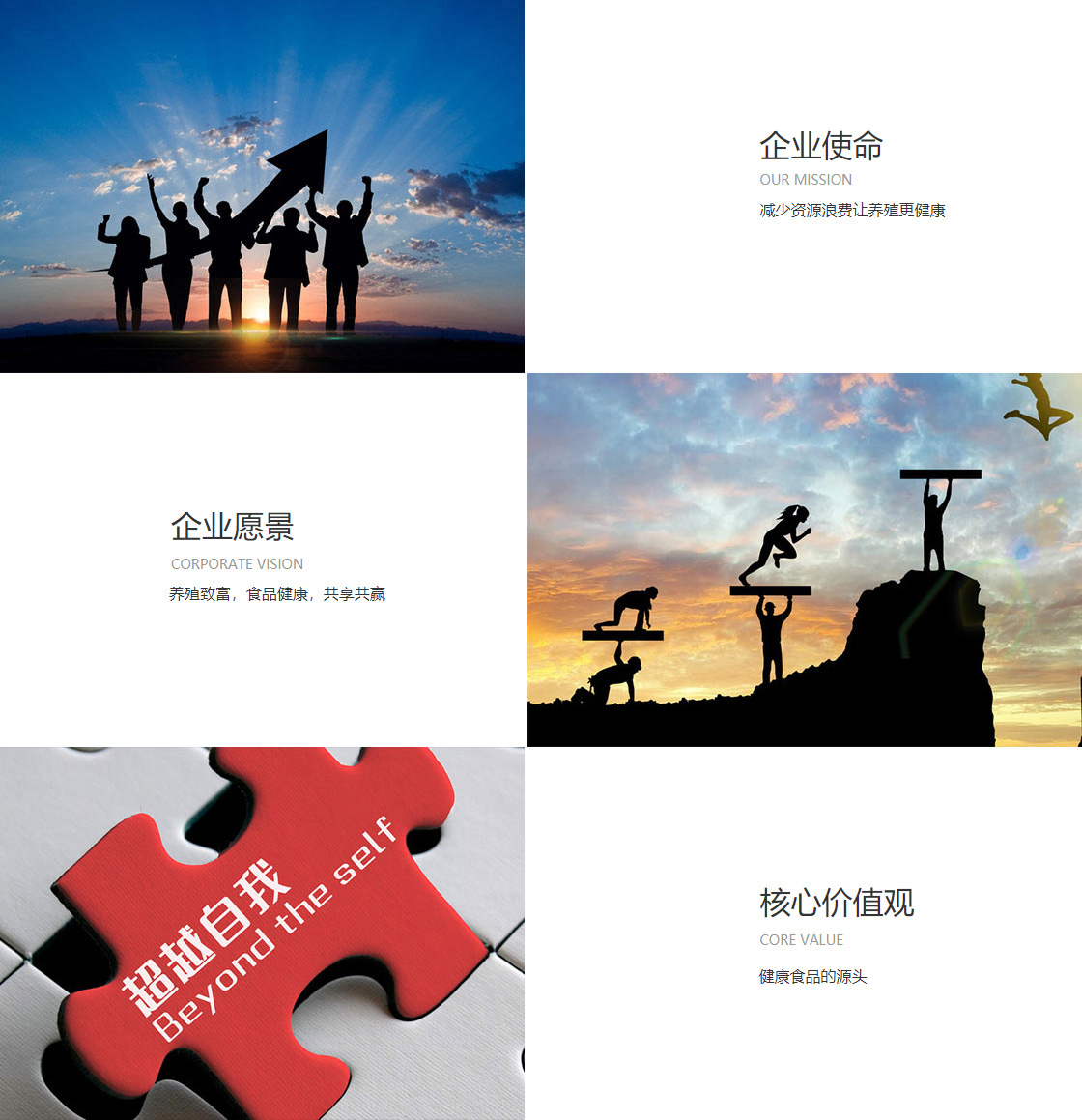 kaiyun平台登录入口(图1)